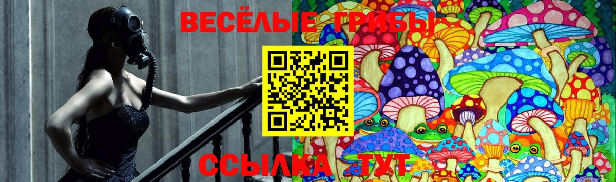 Галлюциногенные грибы Psilocybe  Галлюциногенные грибы Psilocybe  Вход с VPN  Кулебаки 
